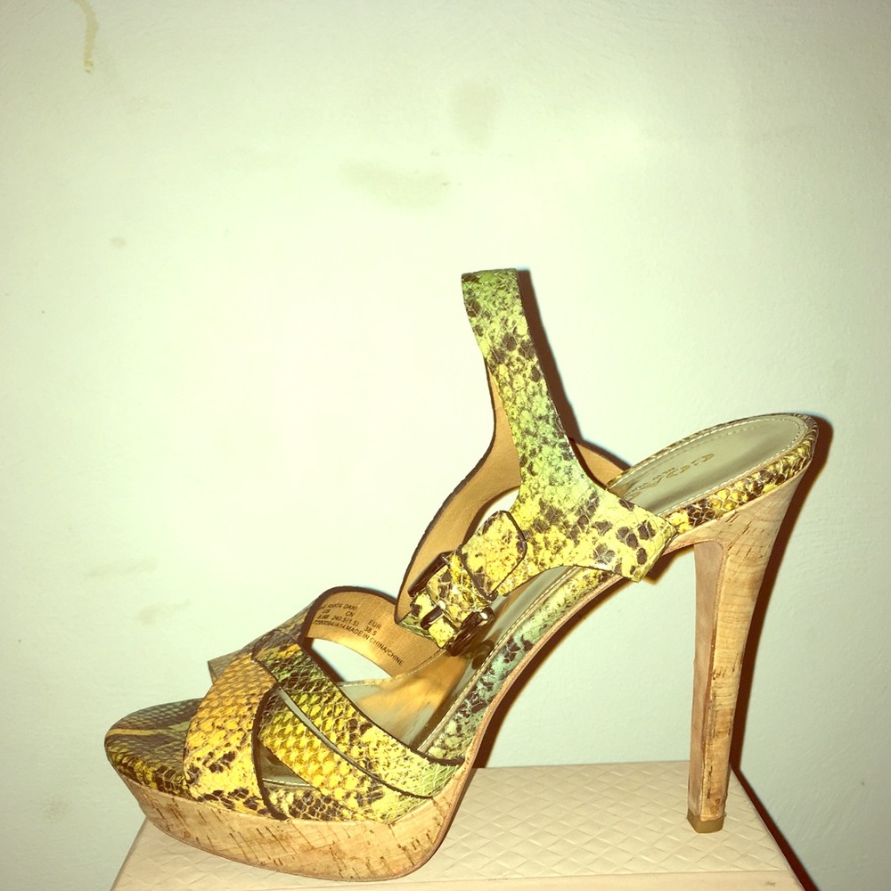 Coach “Dani” Heels